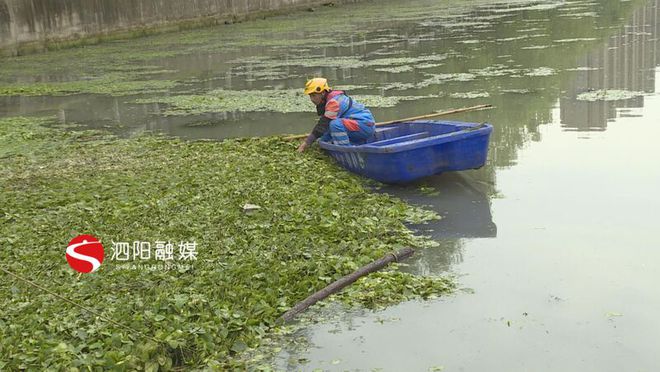 开云官方网站：泗阳：清理河道疏通管道保障城区排水“脉络”通畅(图1)