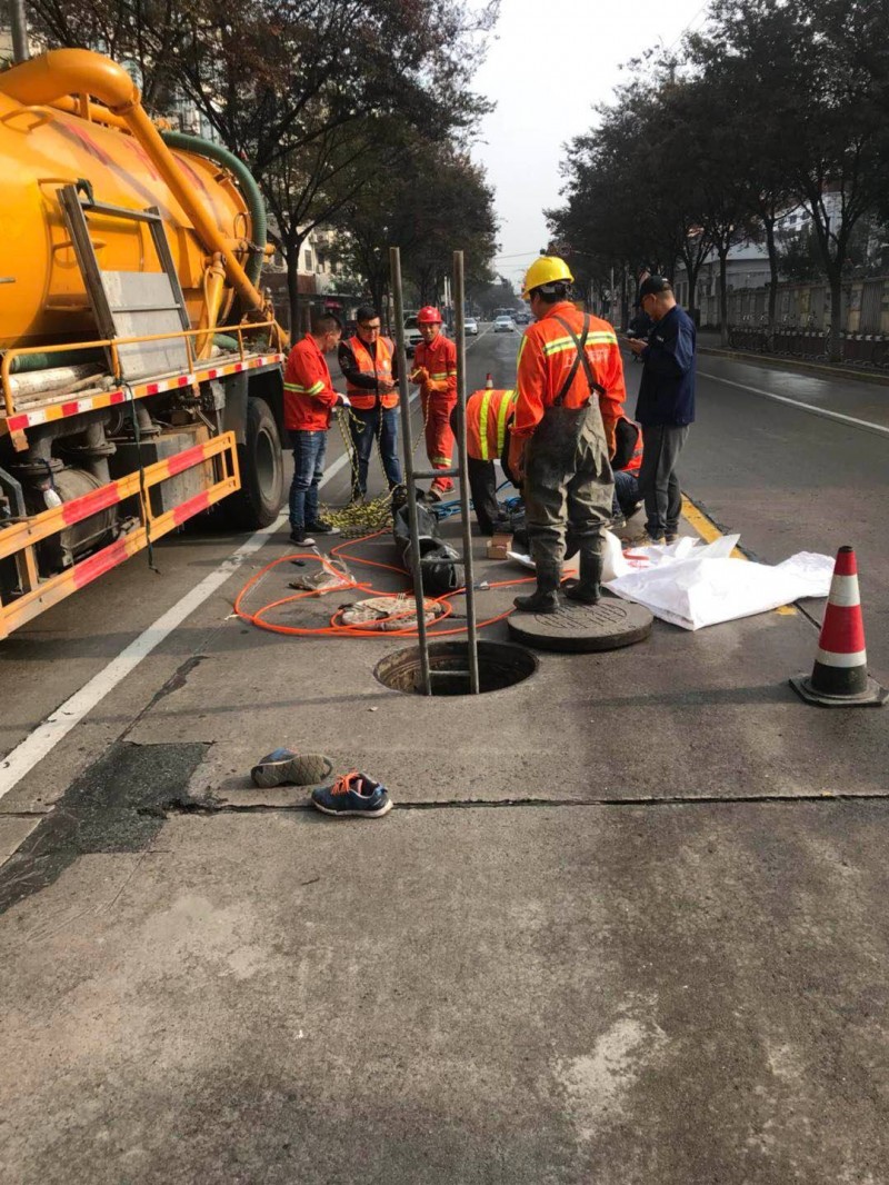 开云官方网站：谷雨知识知多少